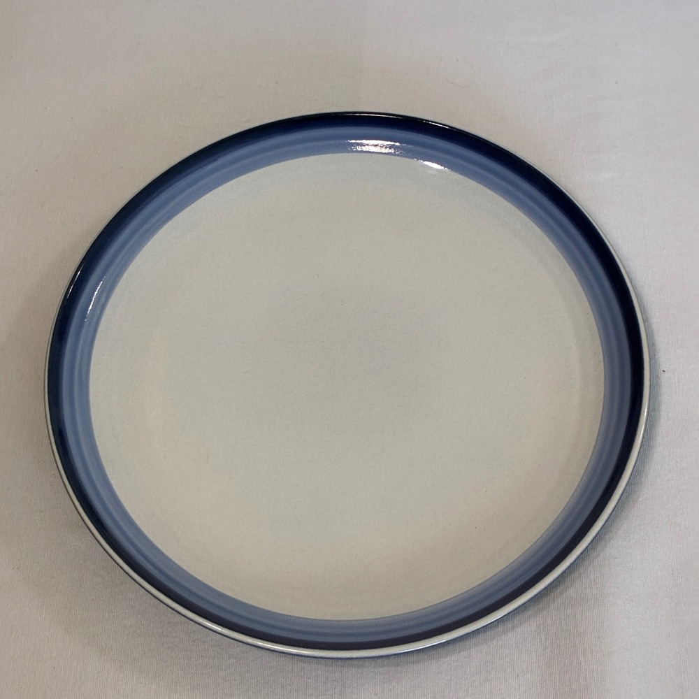 Pfaltzgraff Denim Dinner Plate 11" Stoneware Coastal Blue Farmhouse Cottage